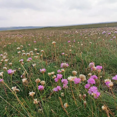 7 Person In Lemvig-by Traum Lemvig